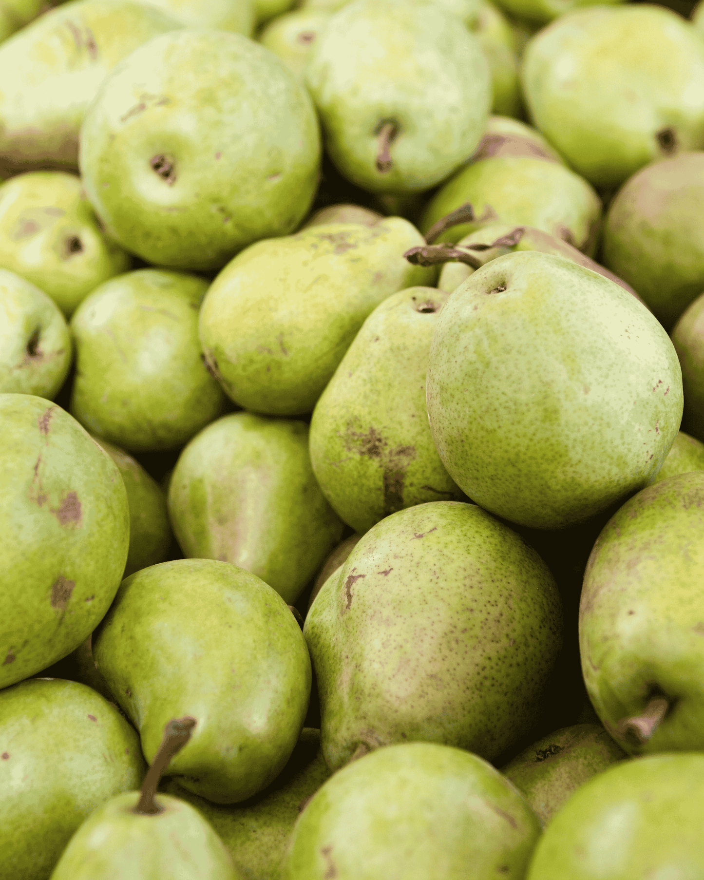 Carnes Pears