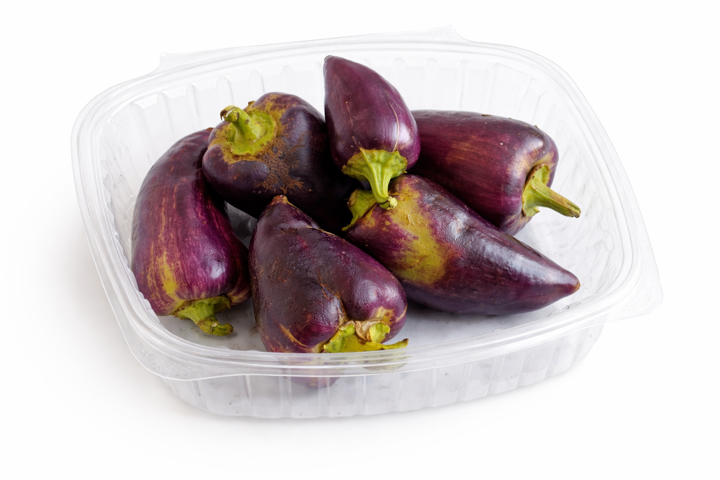 Violet Sparkle, Pepper (pint)