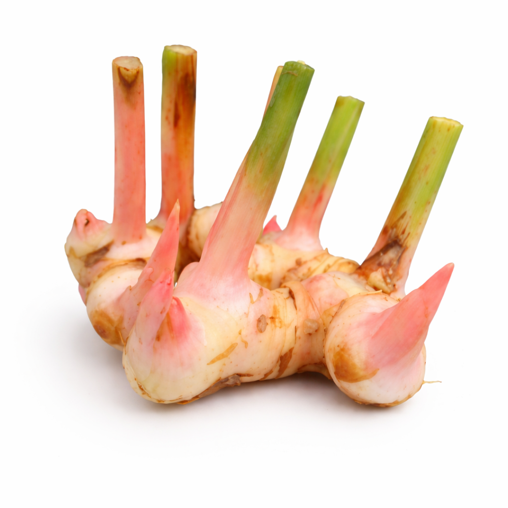 Ginger, Galangal (1/2 lb)