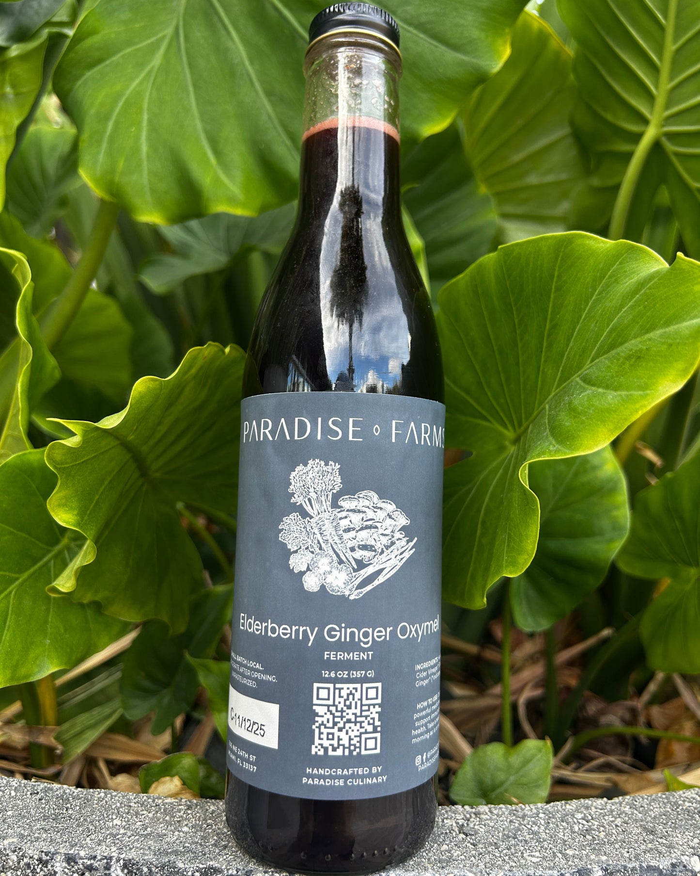 Elderberry Ginger Oxymel