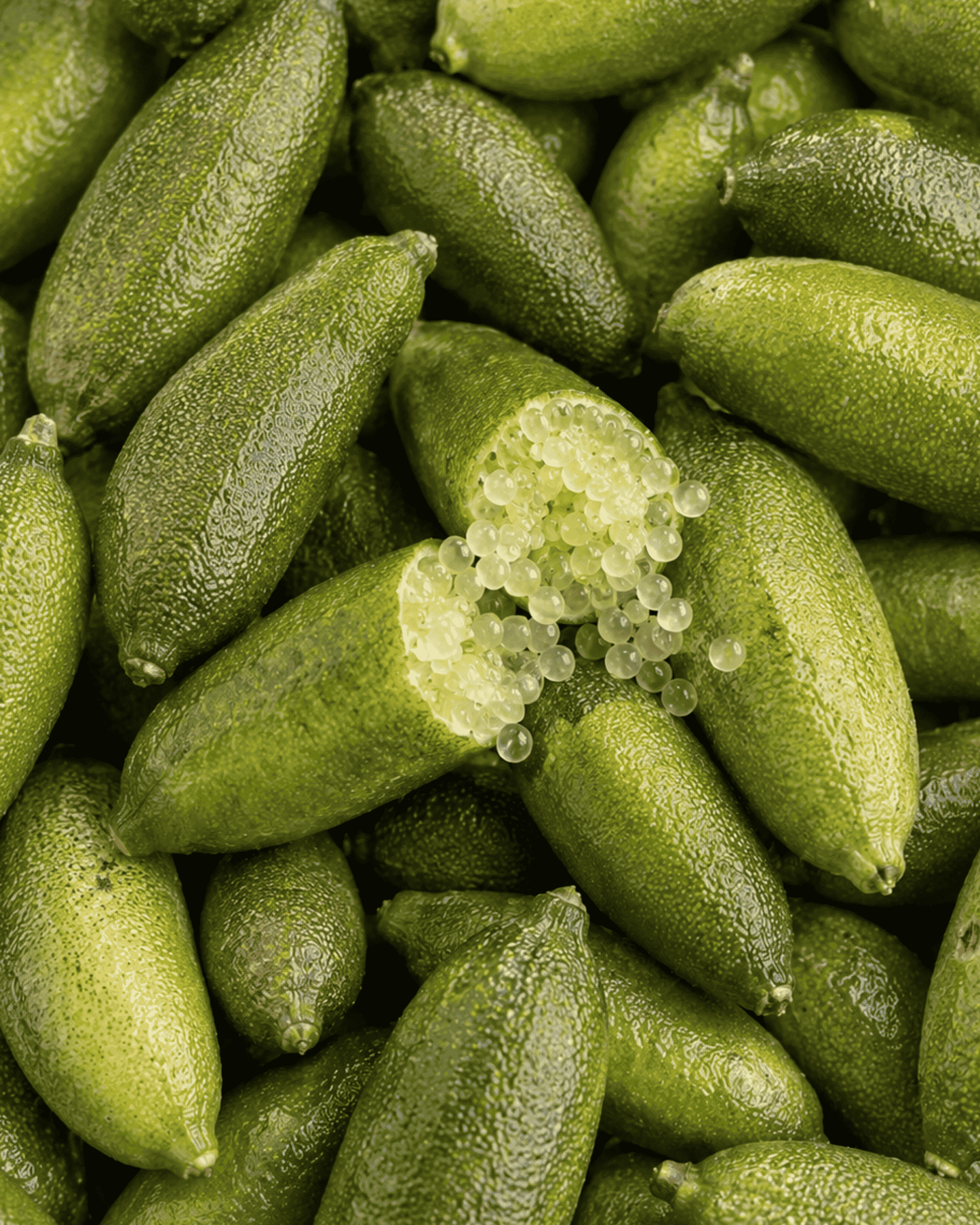 Finger Limes