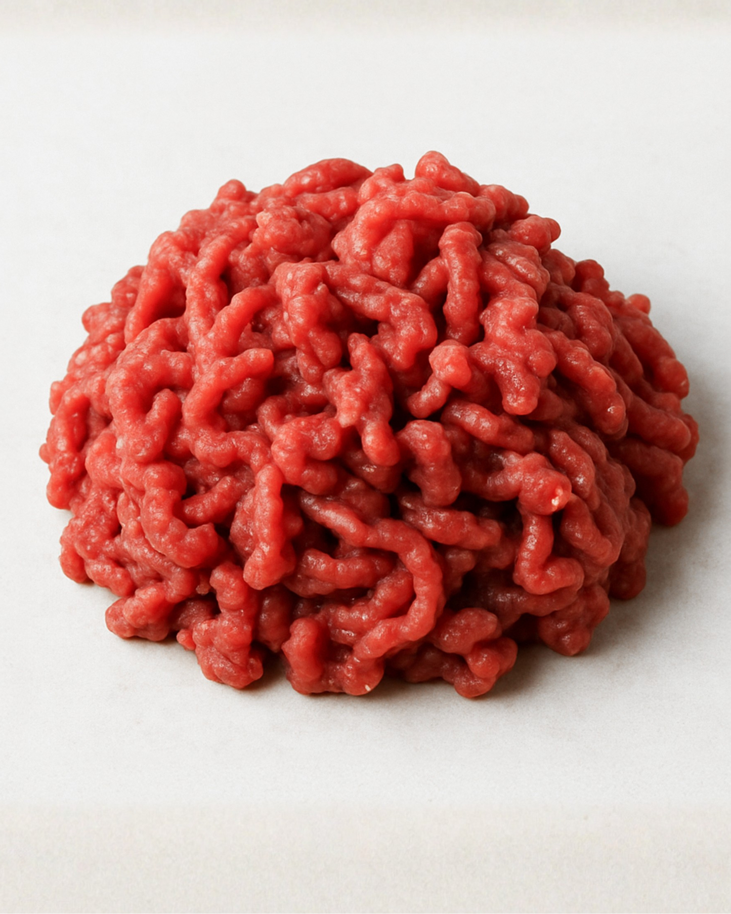 Ground Bison