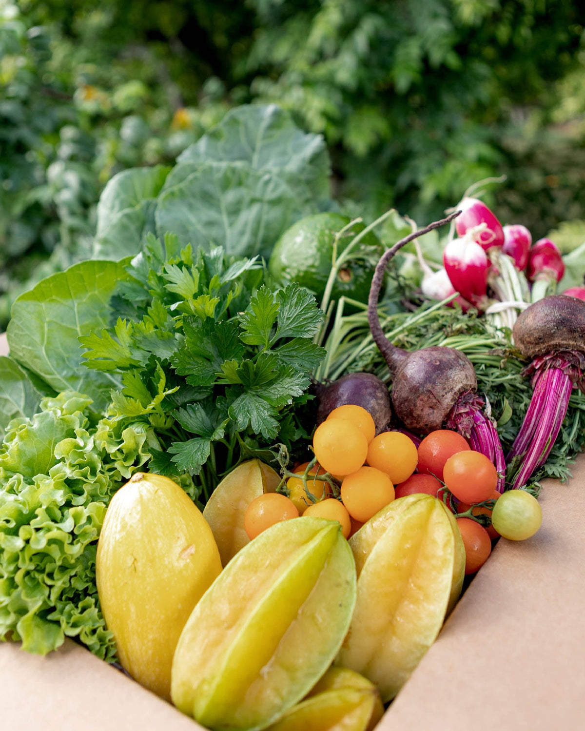 The Farm Box – Spring Season CSA
