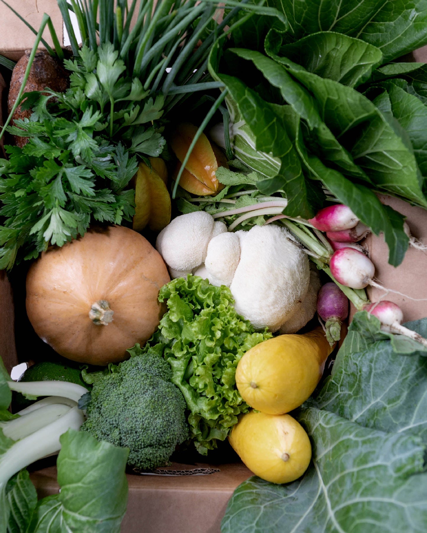 The Farm Box – Winter Season CSA
