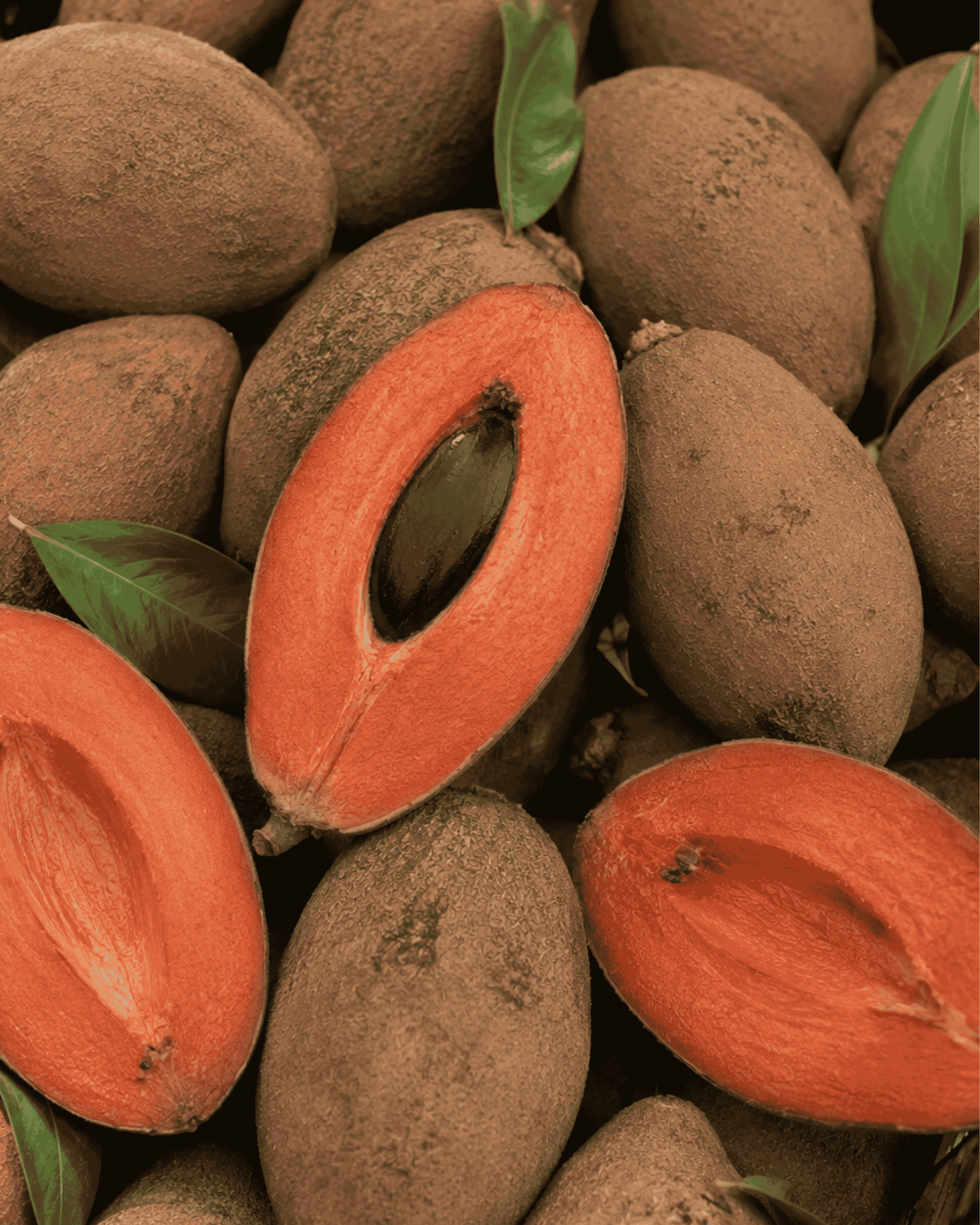 Red Mamey – Pound