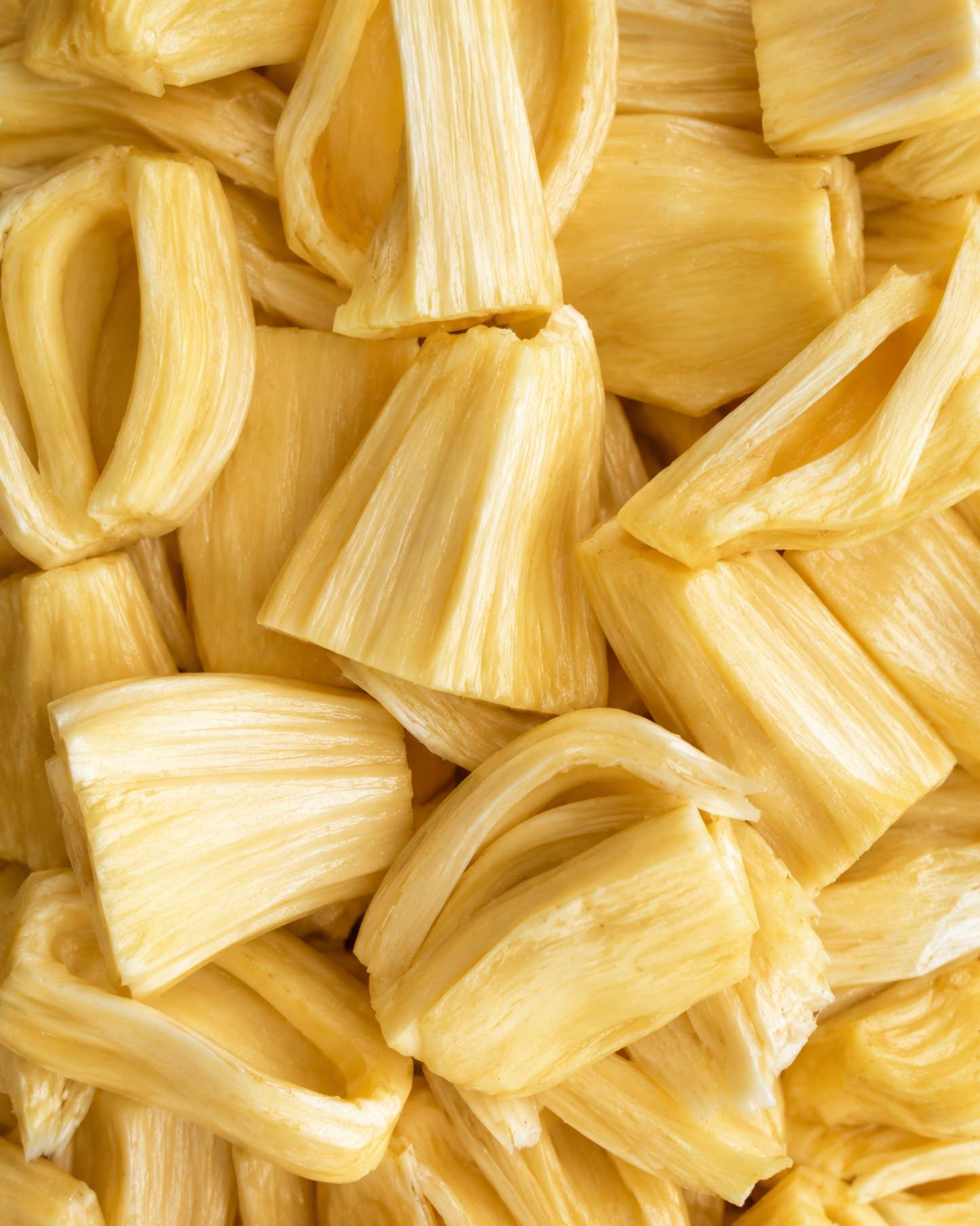 Fresh Jackfruit – 11 oz