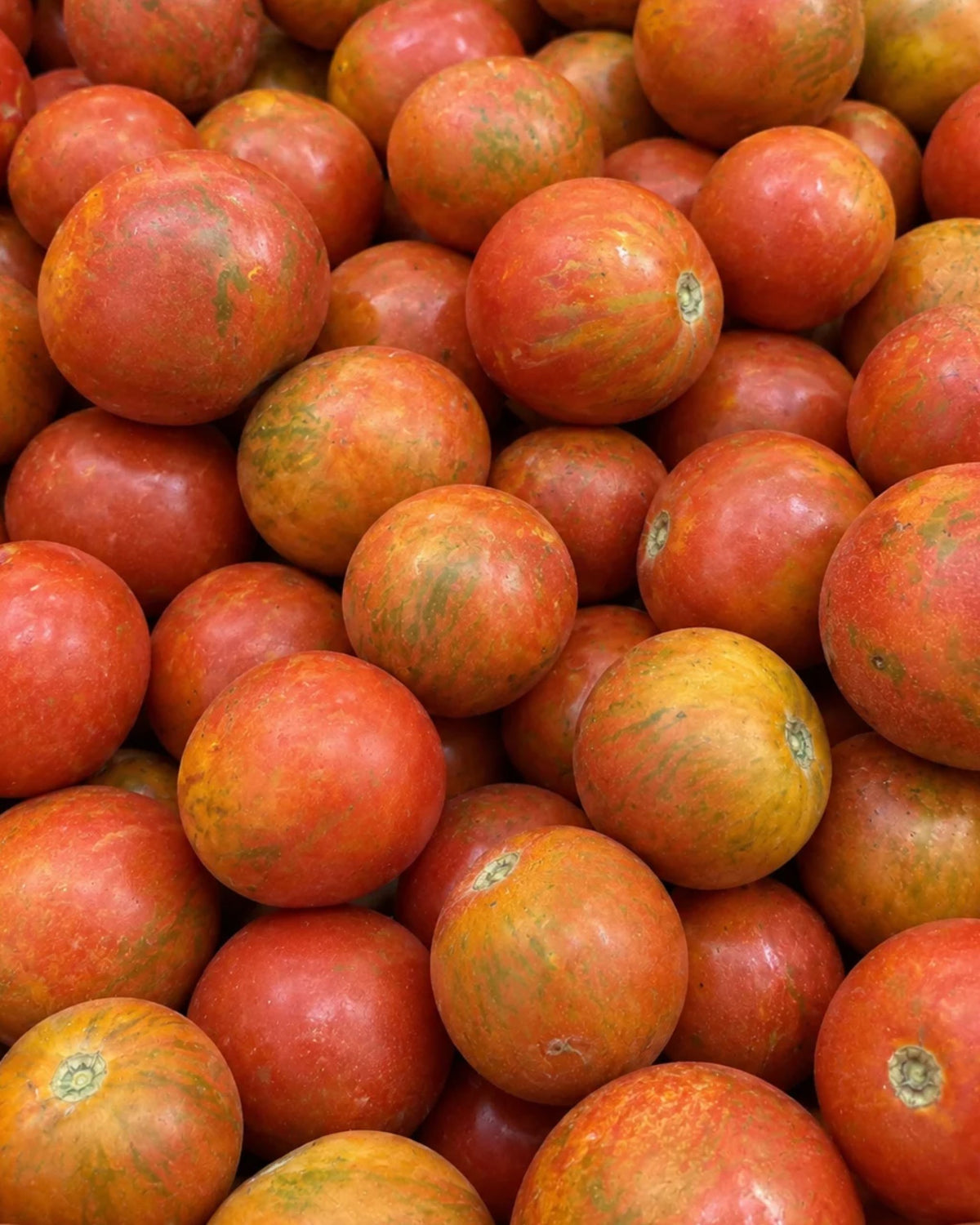 Tigerella Heirloom Tomatoes
