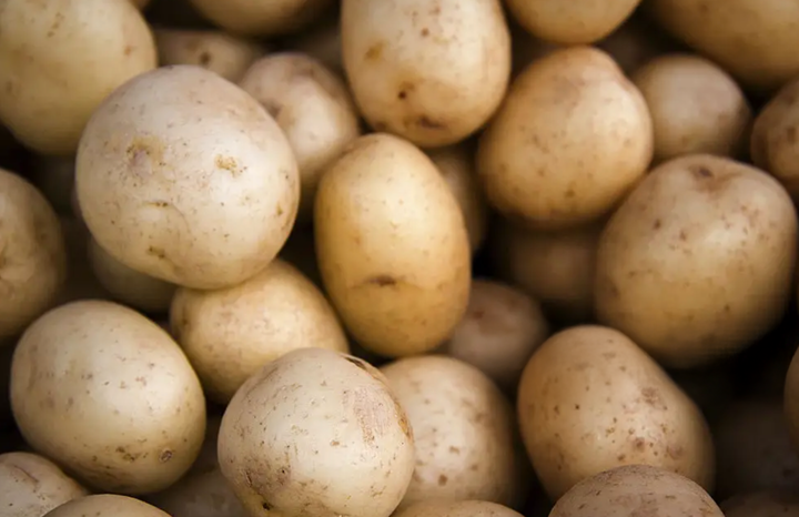 Yukon Gold Potato (ea)