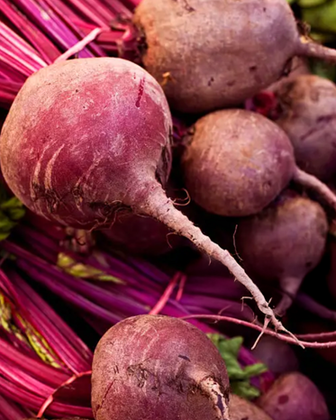 A bunch of fresh red beets with green leaves attached.