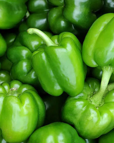 Green Bell Pepper