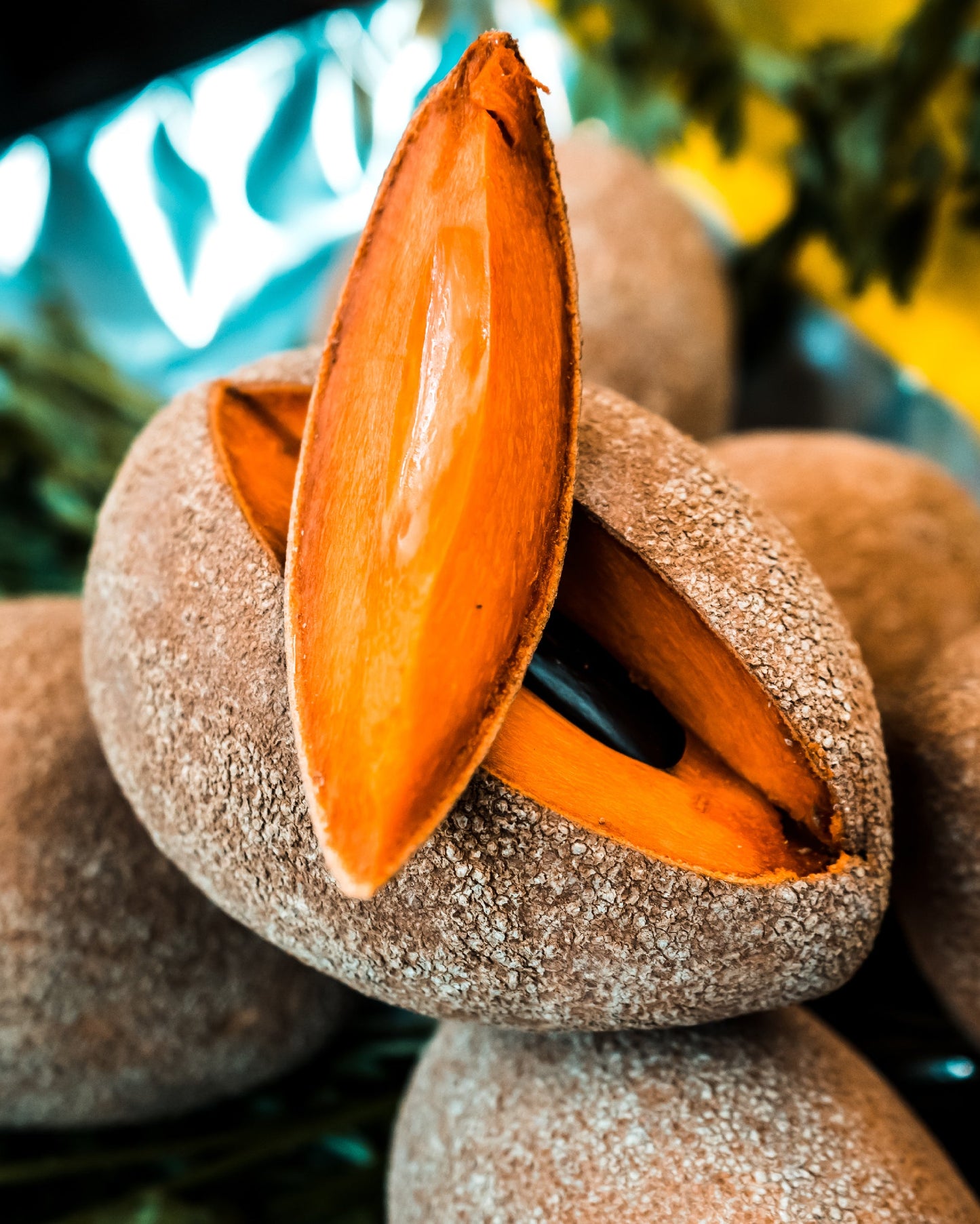 Close-up of a mamey sapote fruit with a split open section, revealing its orange flesh.