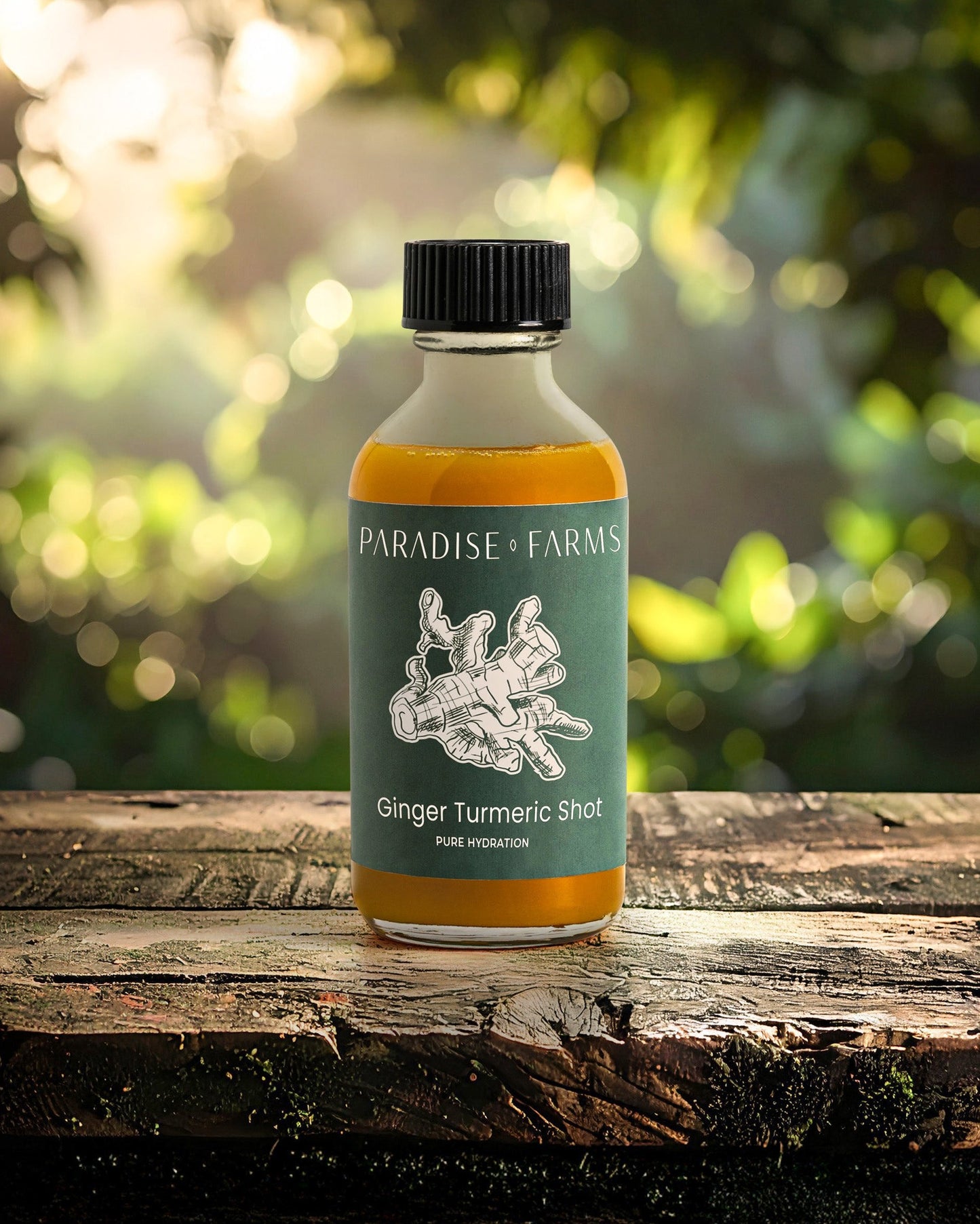 Ginger Turmeric Shot