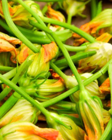 Blossoms Squash