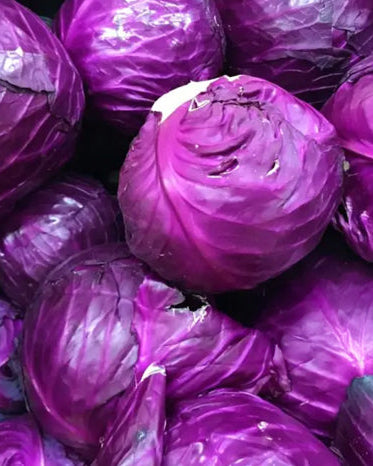 Red Cabbage