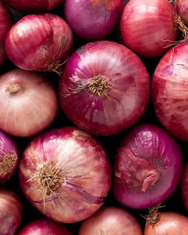A pile of whole red onions with purplish outer skins and white flesh.