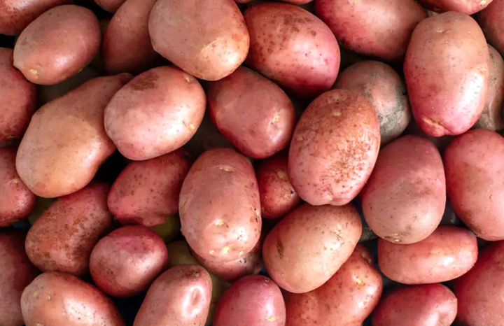 Red Potato (ea)