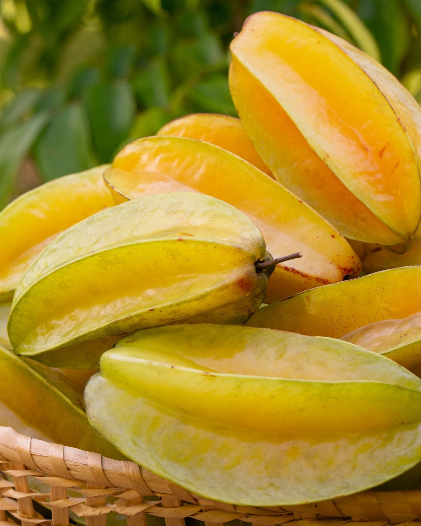 Basket of star fruits with a blurred natural background