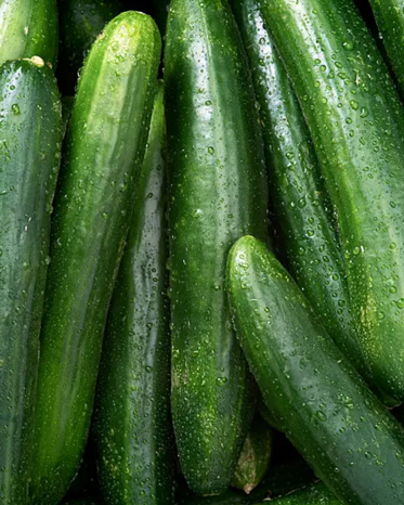 Slicing Cucumber