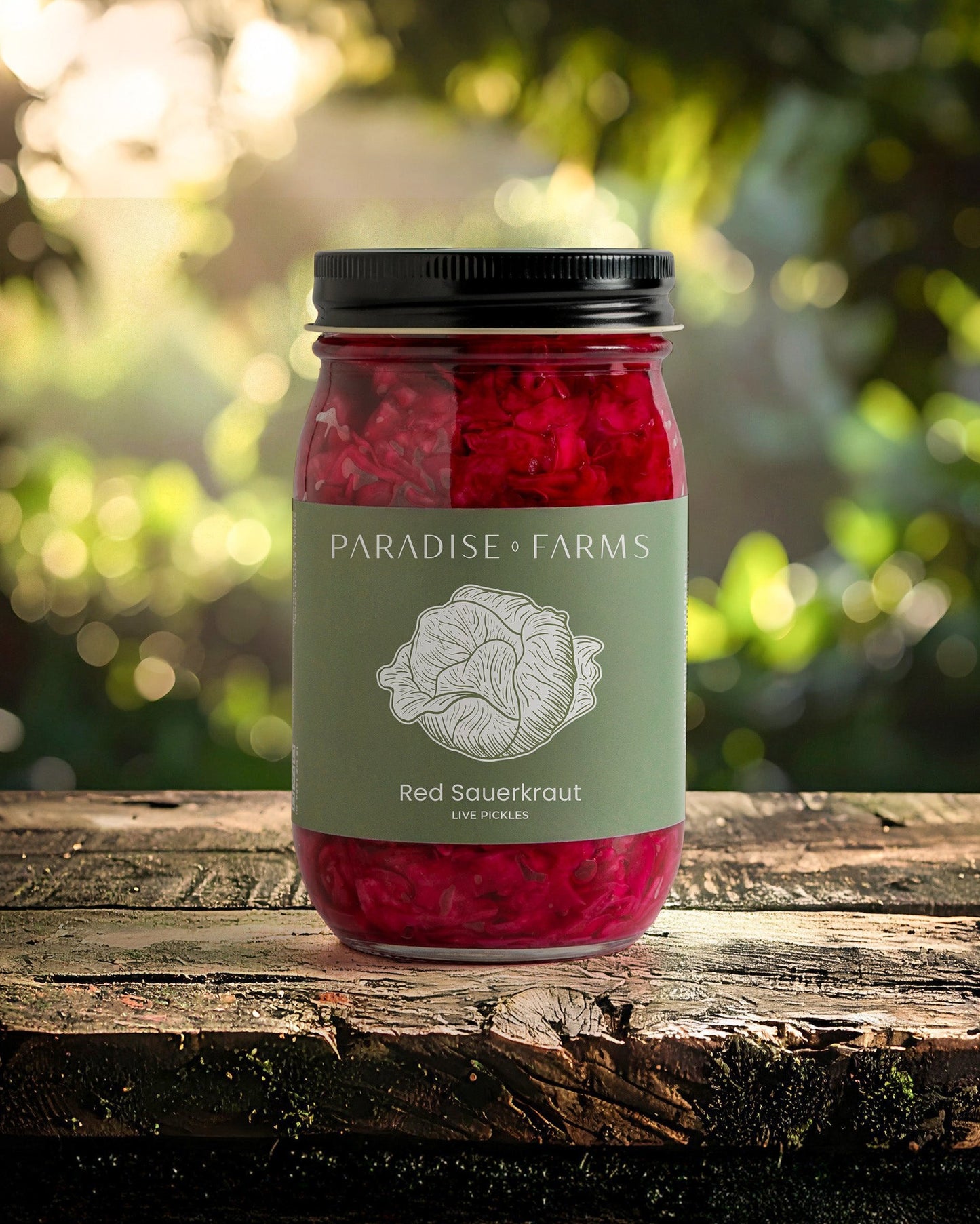 Red Sauerkraut