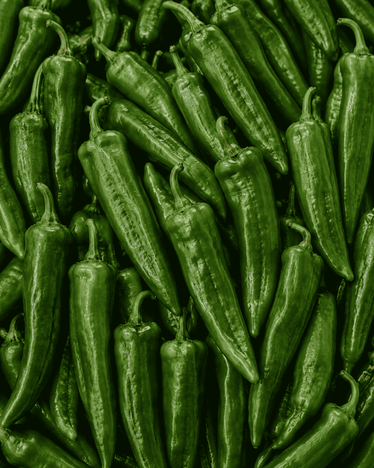 Anaheim Pepper
