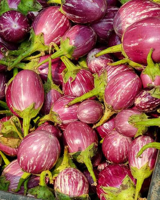 Annina Eggplants PF