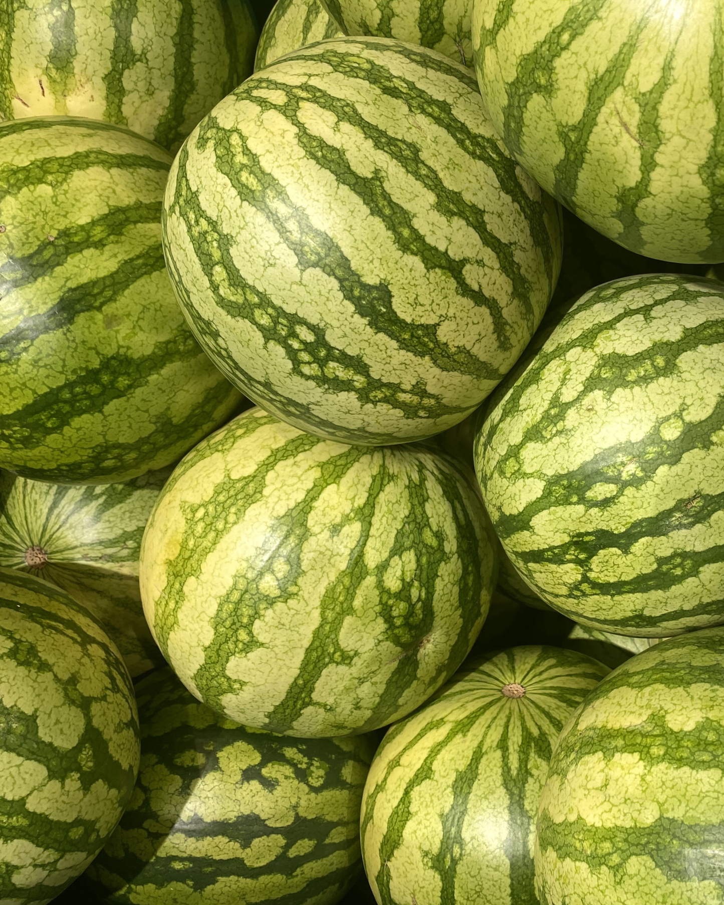 Baby Flower Watermelon