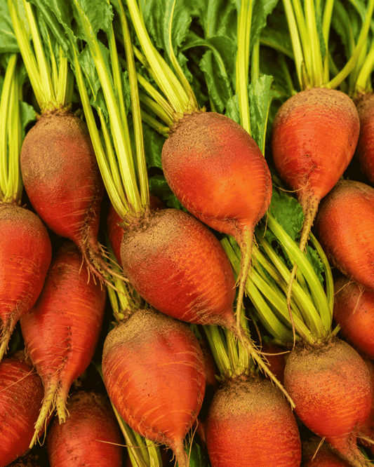 Badger Flame Beets