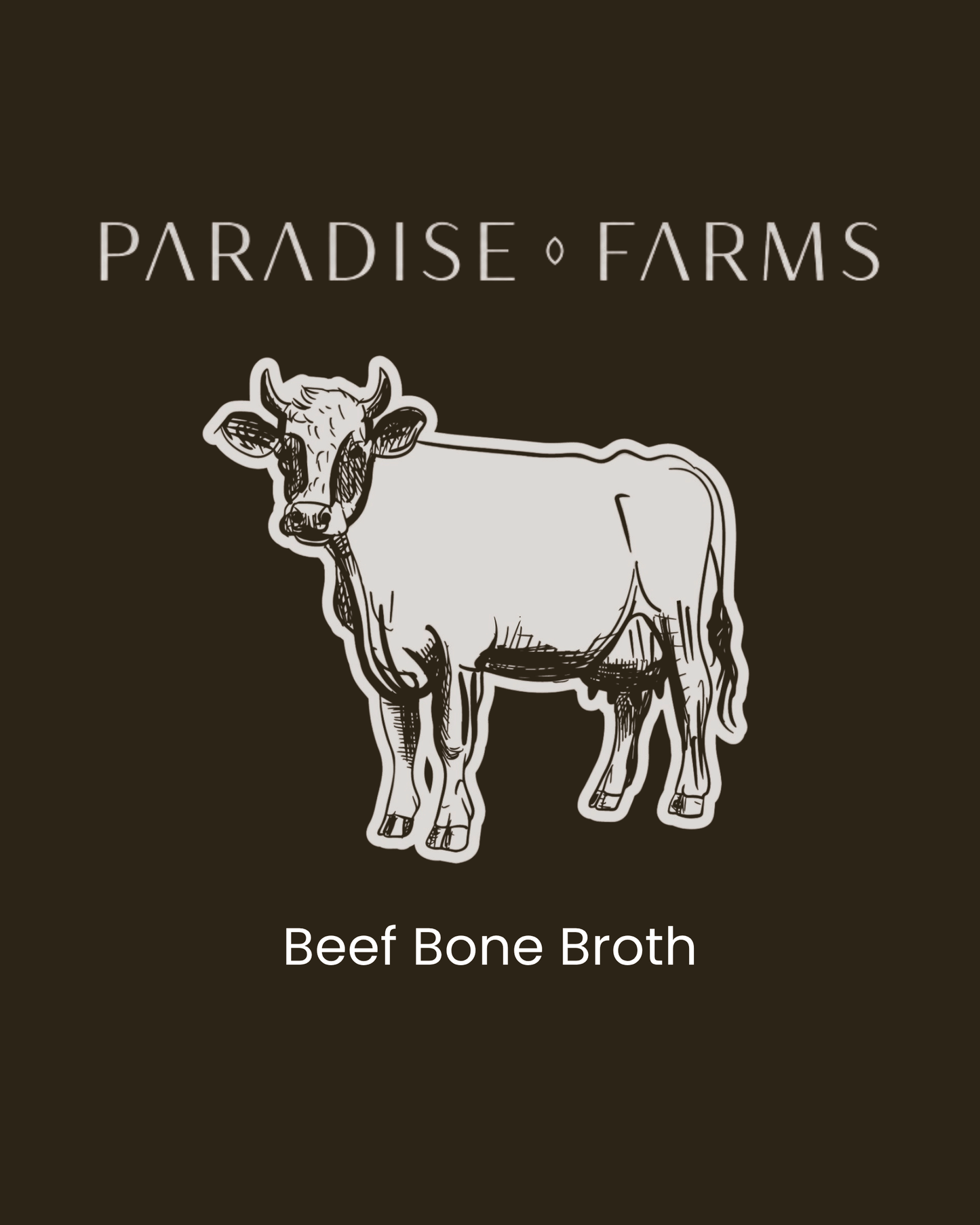 Beef Bone Broth