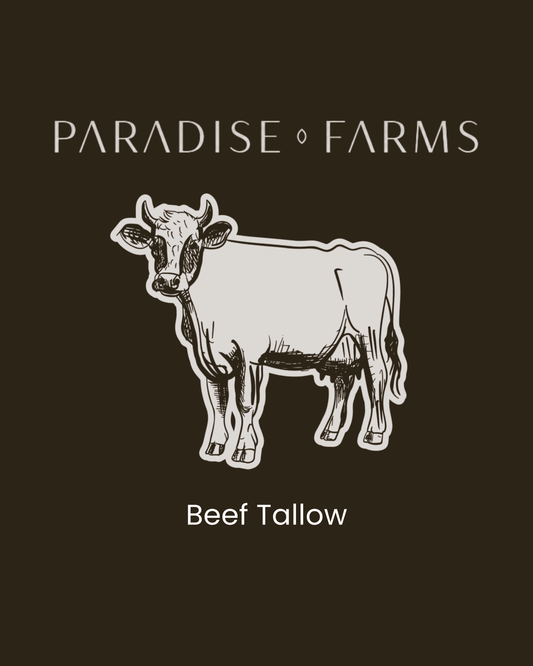 Beef Tallow
