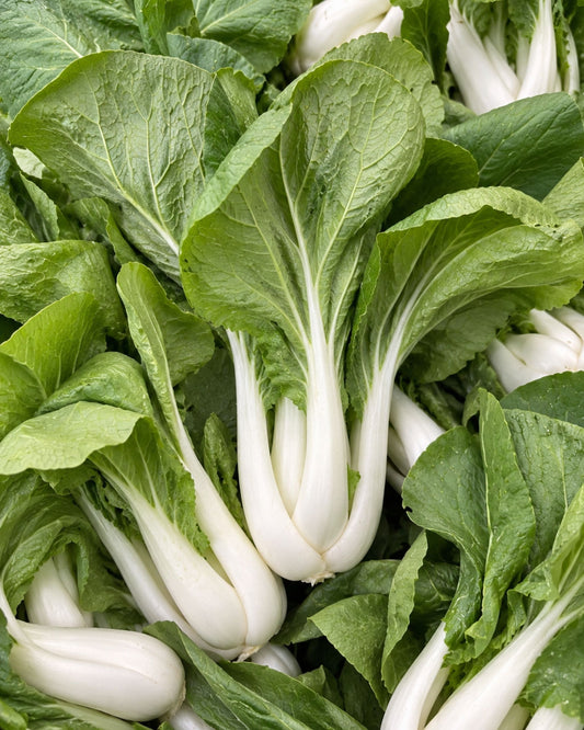 Bopak Bok Choy