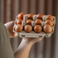 Person holding a carton of brown eggs against a neutral background