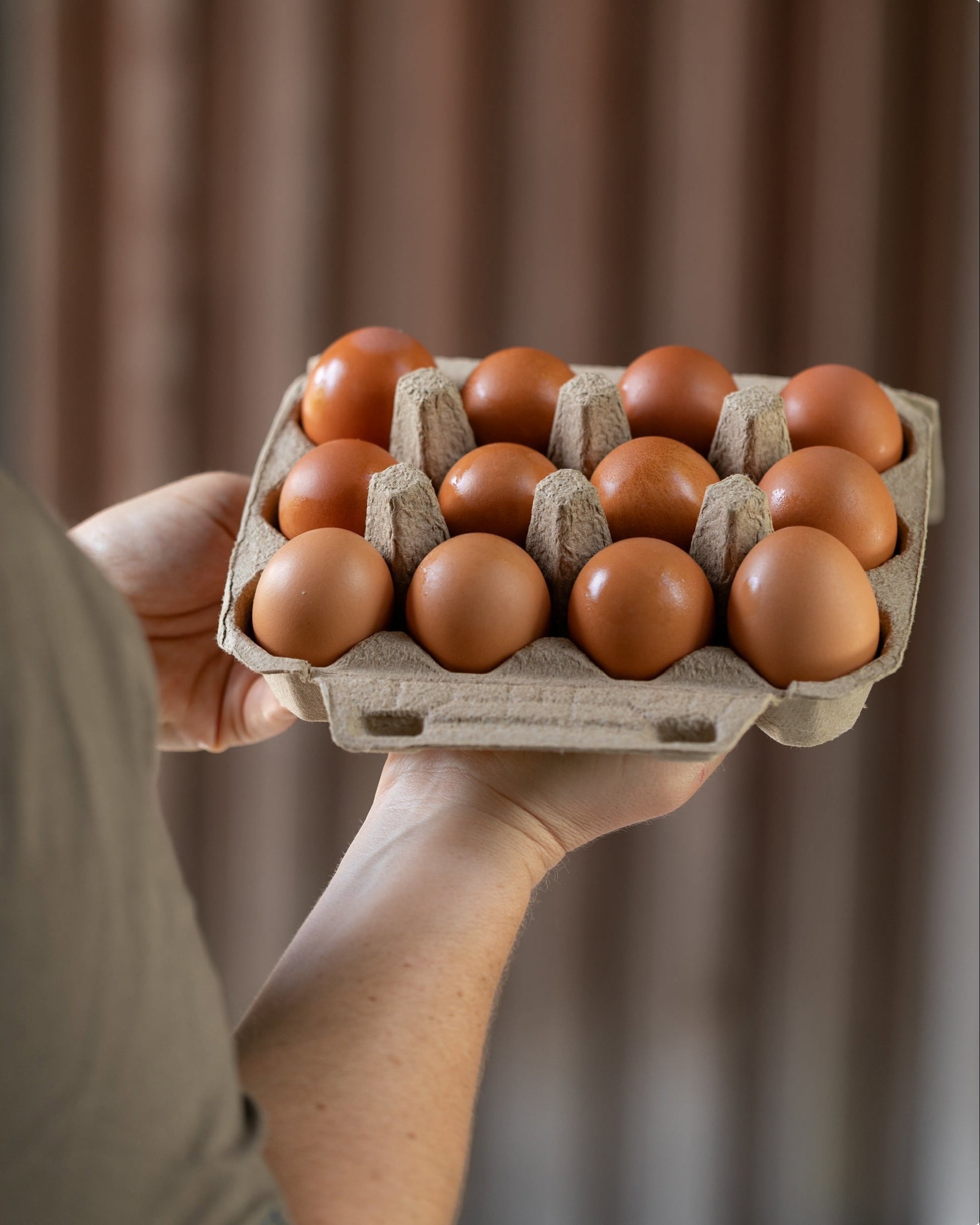 Person holding a carton of brown eggs against a neutral background