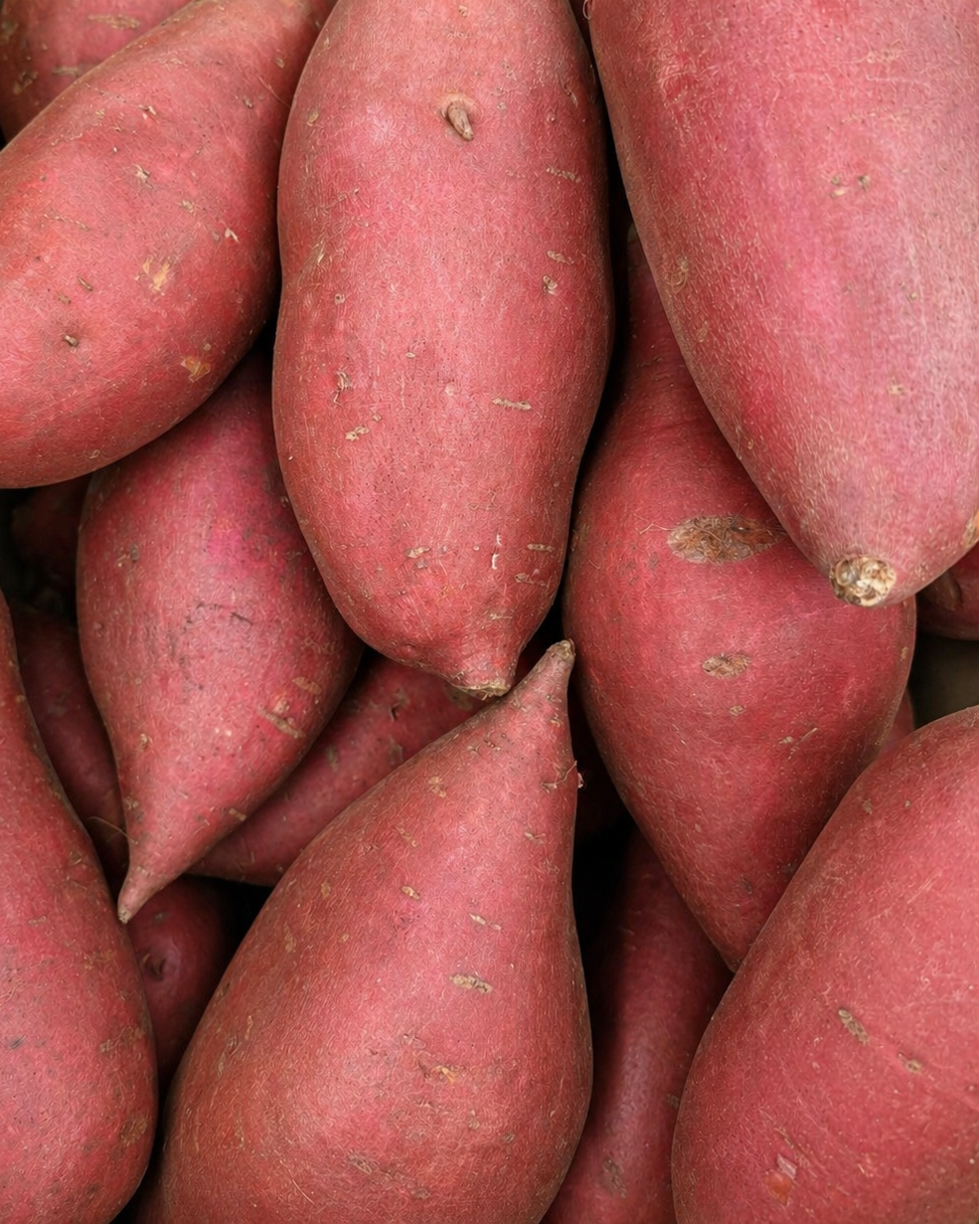 Garnet Sweet Potato