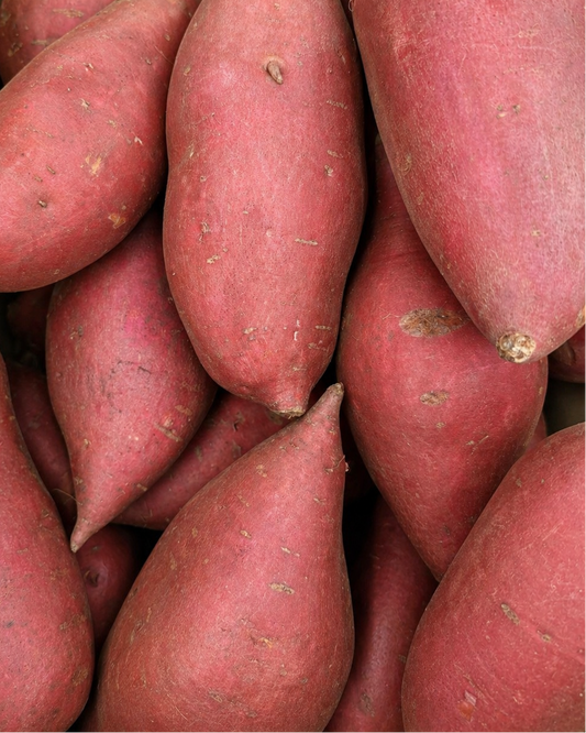 Garnet Sweet Potato