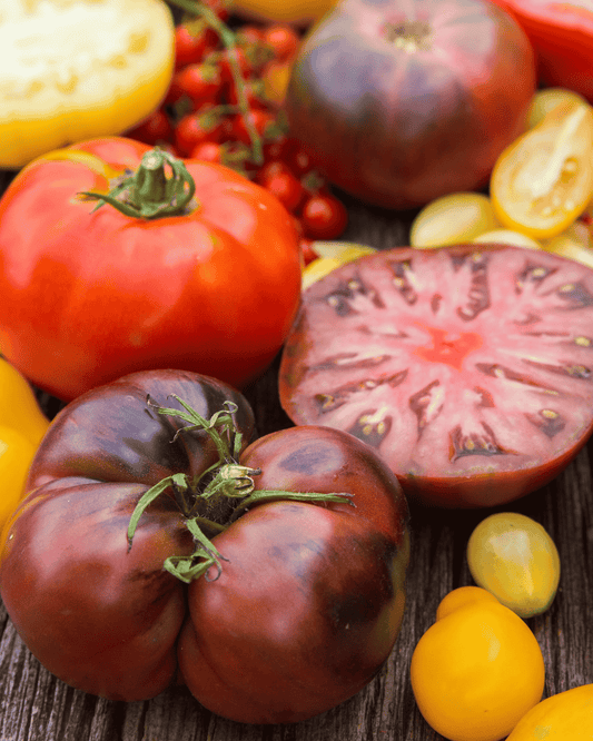 Mixed Heirloom Tomatoes – Pound