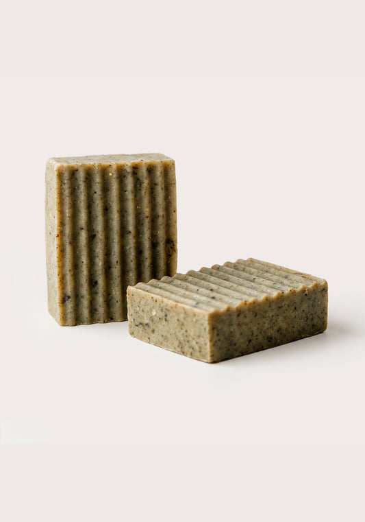 Pet Soap – SoapBox