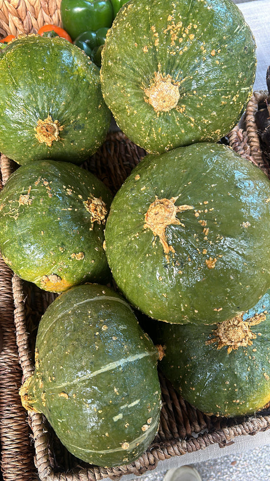 Kabocha Squash