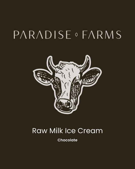 Raw Milk Ice Cream – Chocolate