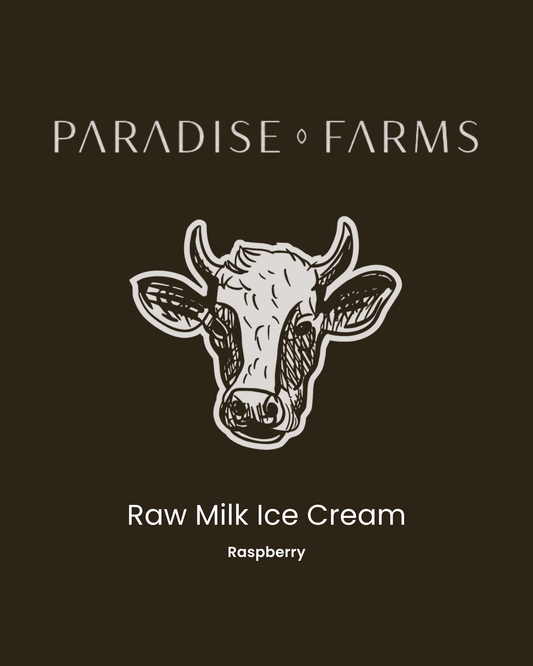 Raw Milk Ice Cream – Raspberry