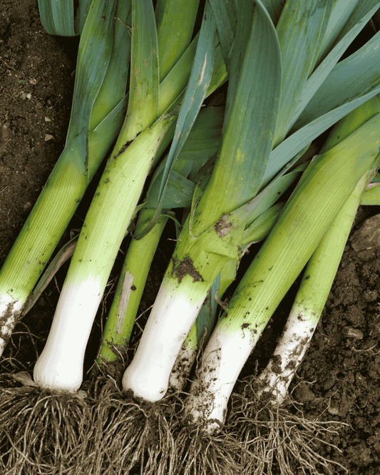 Leeks