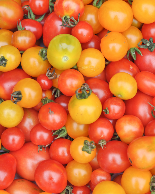 Mixed Cherry Tomatoes