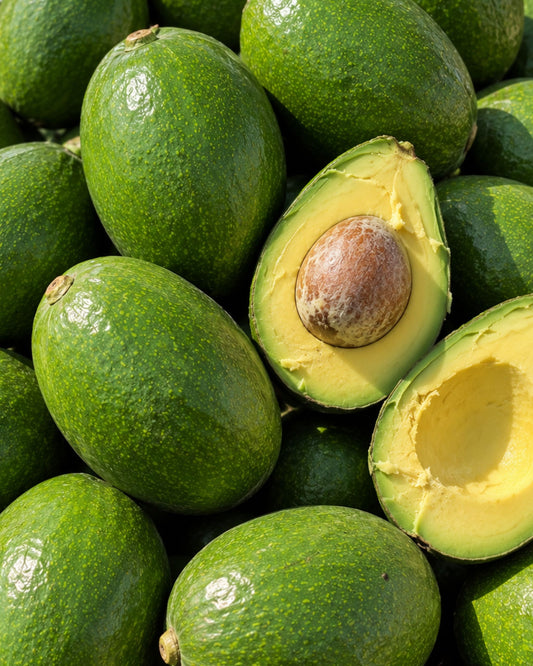 Monroe Avocado