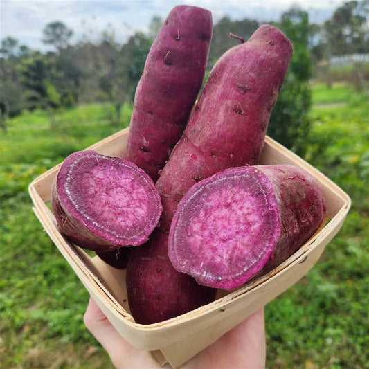 Sweet Potatoes, Okinawa (Purple) 1lb
