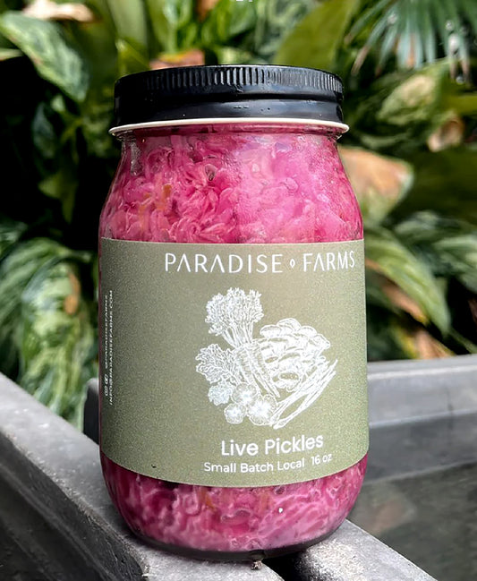 Red Sauerkraut - Live Pickels