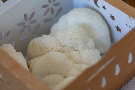 Lions Mane (pound)