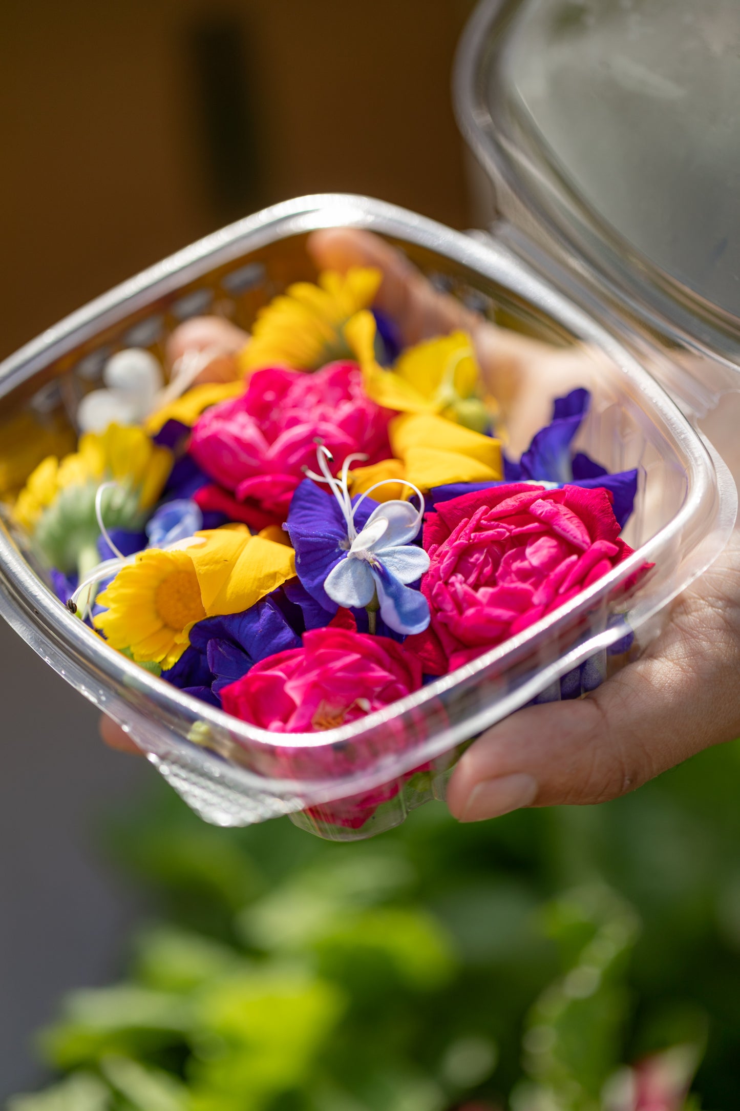 Edible Flower, 20 ct. clam