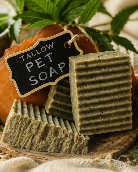 Pet Soap – SoapBox