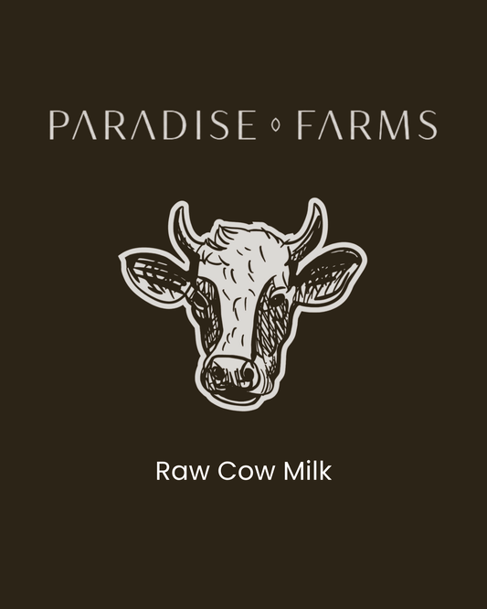 Raw Cow Milk