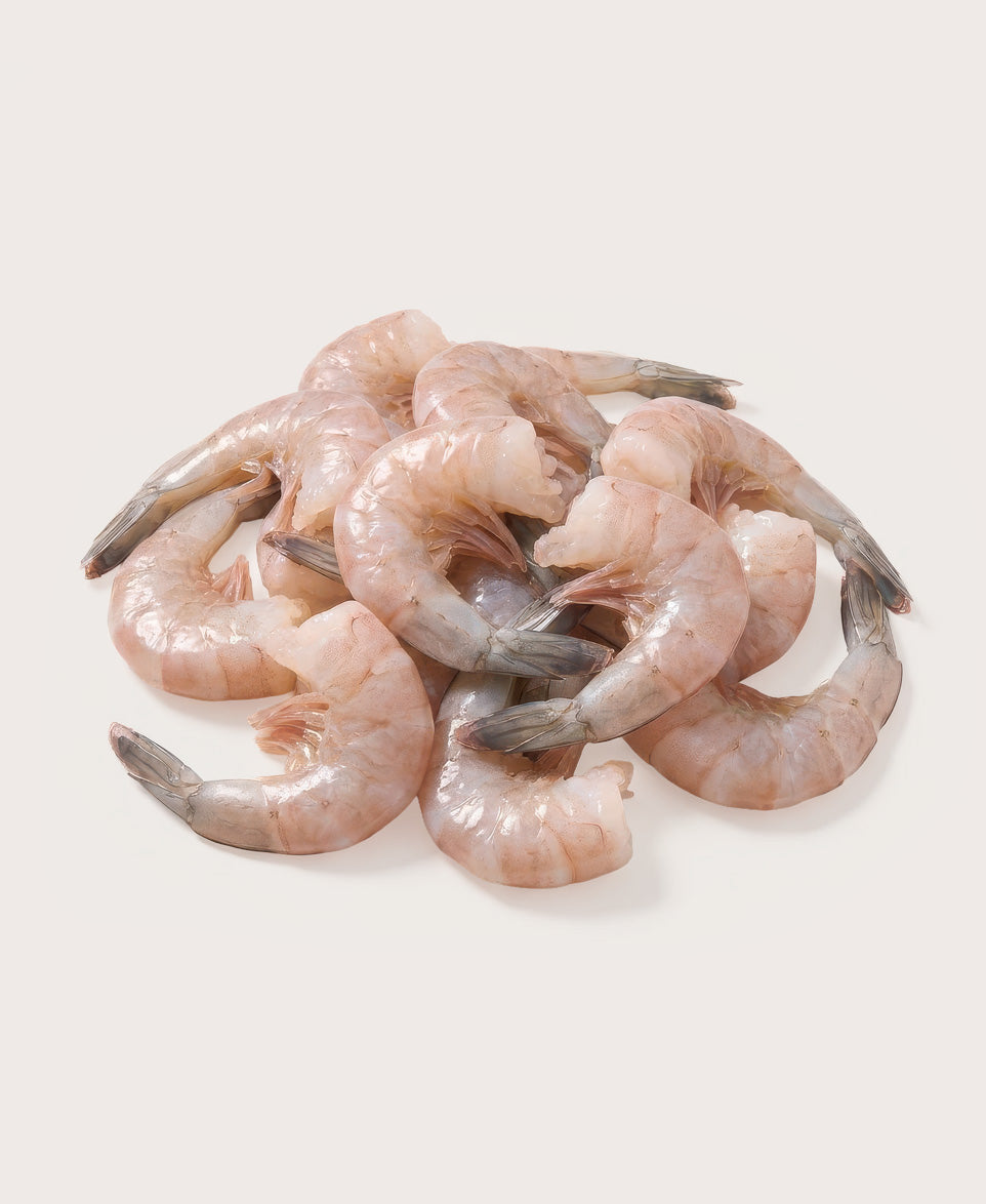 White Jacksonville Shrimp