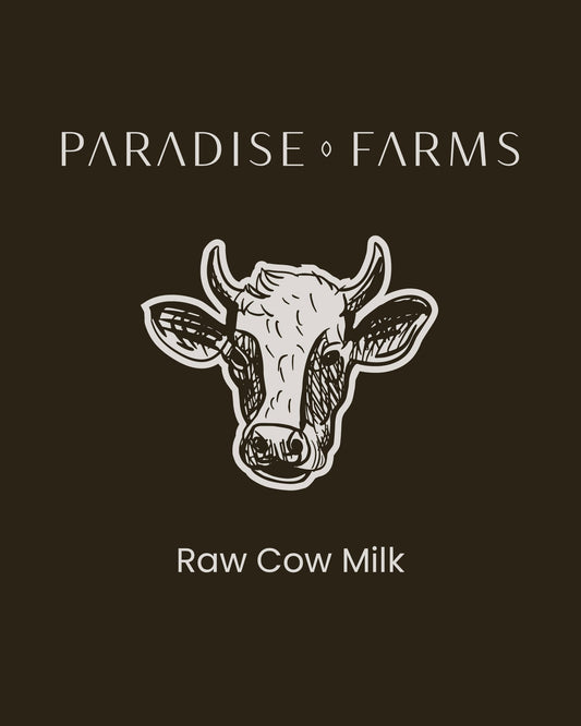 Raw Cow Milk